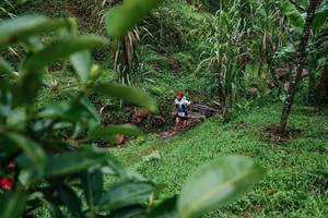 BIB: 
                            <button type="button" onclick="openModal(26200158)" class="btn btn-primary btn-sm float-right btn-popup" data-toggle="modal" data-target=".modal-high-quality">
                        <i class="fas fa-shopping-cart"></i> Add to Cart
                    </button>
                                            <button type="button" onclick="isThisMe(26200158, true)" class="btn btn-success btn-sm float-right btn-popup btn-isme hidden" data-toggle="tooltip" data-placement="bottom" title="นี่คือรูปของคุณใช่ไหม คลิกที่นี่เพื่อเอาเข้าอัลบั้ม">
                        <i class="fas fa-plus"></i> Add to album
                    </button>
                    <button type="button" onclick="isThisMe(26200158, false)" class="btn btn-warning btn-sm float-right btn-popup btn-isnotme hidden">
                        <i class="fas fa-ban"></i> Remove from album
                    </button>